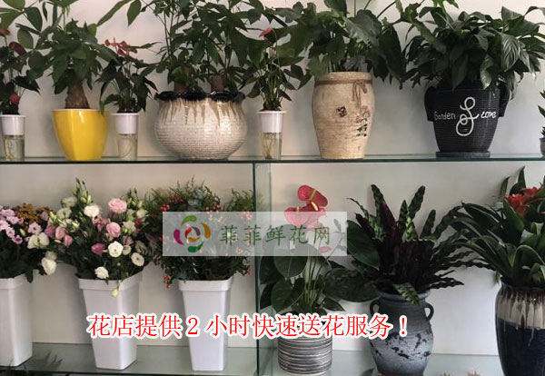 河池南丹县花店提供河池南丹县2小时快速送花服务